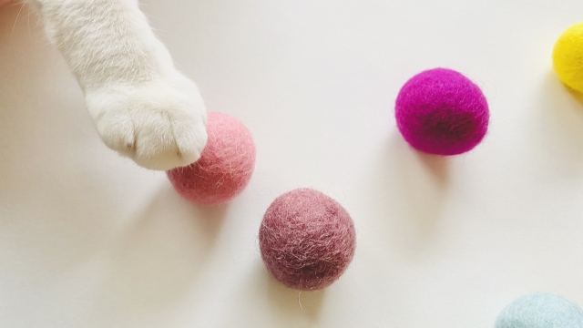 猫のおもちゃイメージ・ボール