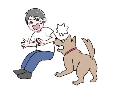 凶暴な犬のイメージ